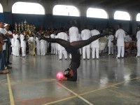 /album/galeria-de-fotos/sam-0530-jpg/